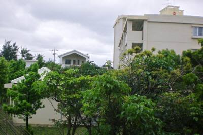 住宅団地の木々