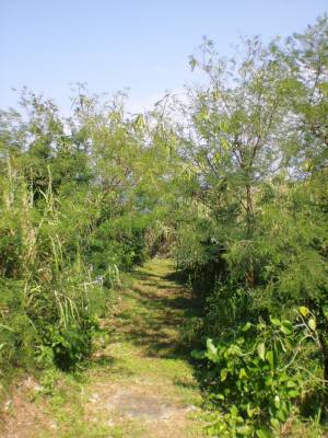 長間湧泉への入口