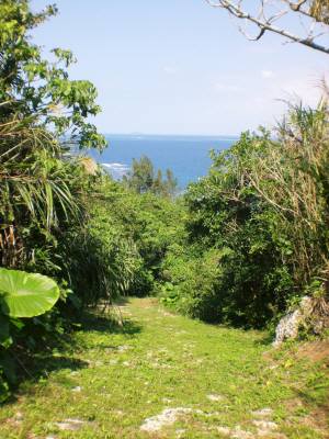 長間湧泉道の途中(海!)