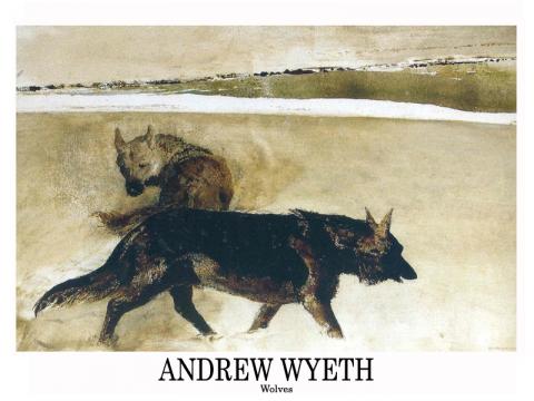 ANDREW WYETH 66