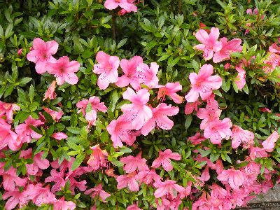 108_8026.JPG