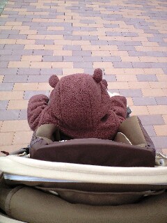 こぐまの散歩