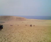 砂だらけ・・・