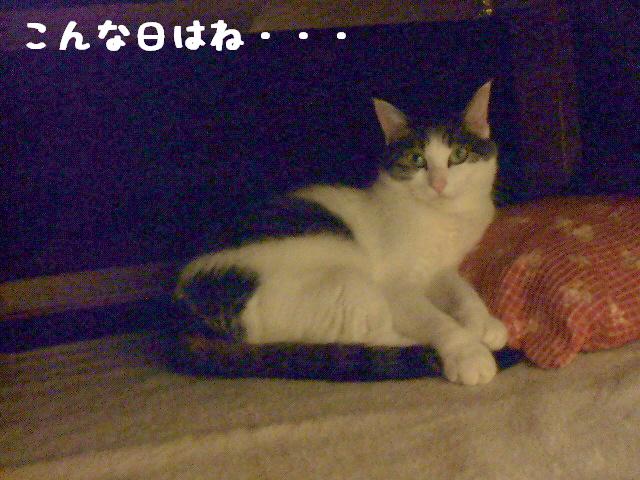 こんな日はね・・・