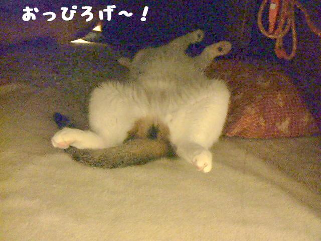 ヲタ踊り？