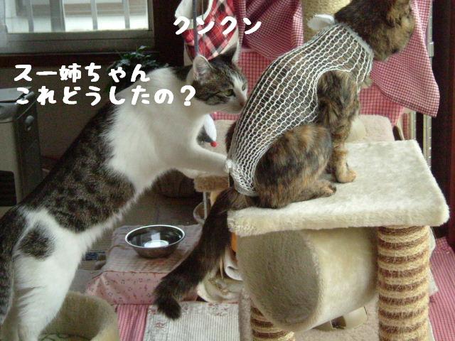 おかえり3