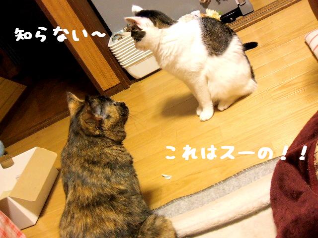 スーのなの！！