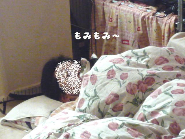 もみもみ～