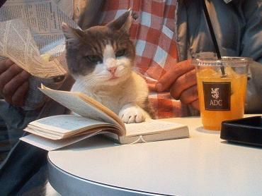 読書の秋1