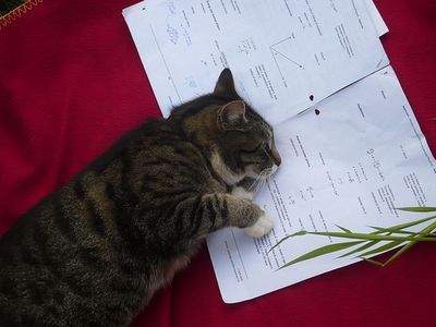 読書の秋2