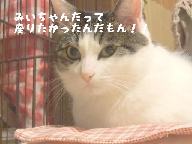 みいちゃんだって！！