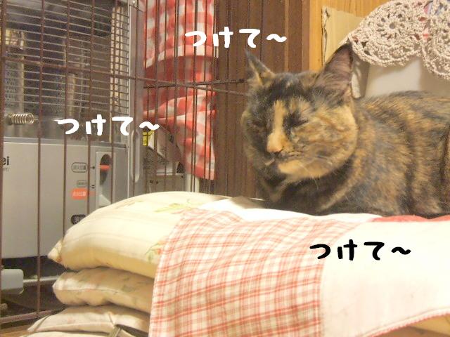 つけて～つけて～つけて～