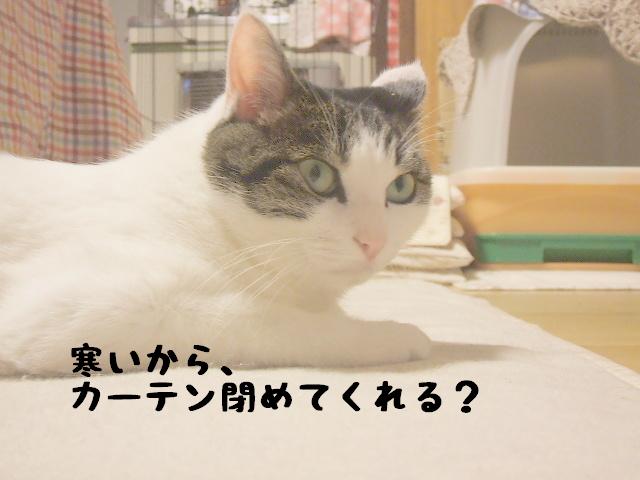 寒いでしょ～