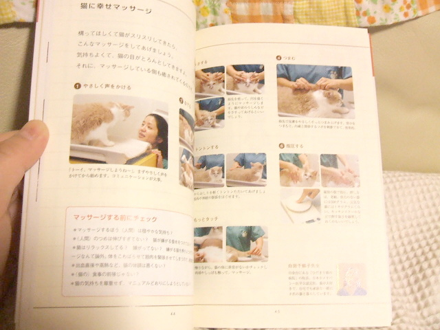中は・・・2