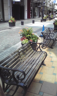 bench.jpg