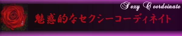 魅惑的なセクシーコーディネイト♪