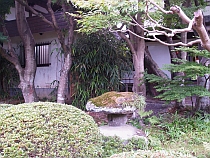 仙台北山輪王寺6