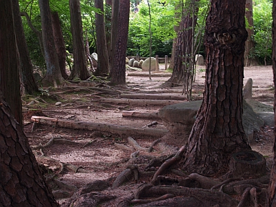 仙台北山輪王寺12