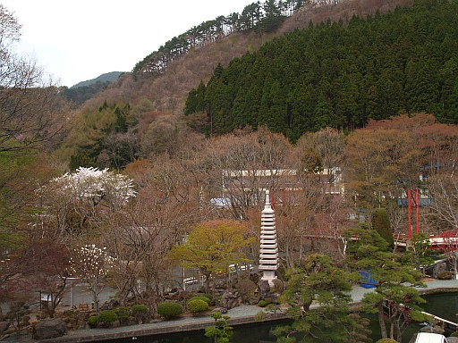 5.05新山つりぼり5