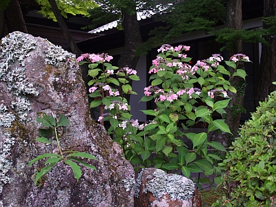 仙台北山輪王寺15