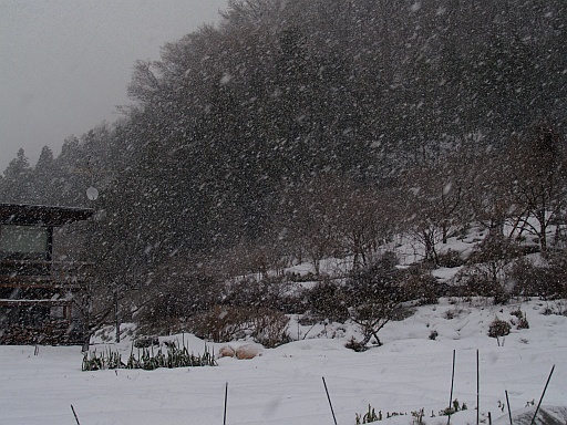 12.31雪の大晦日9
