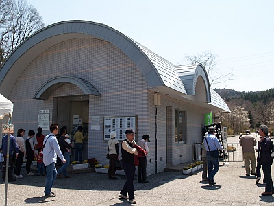 5.03野草園に行く7