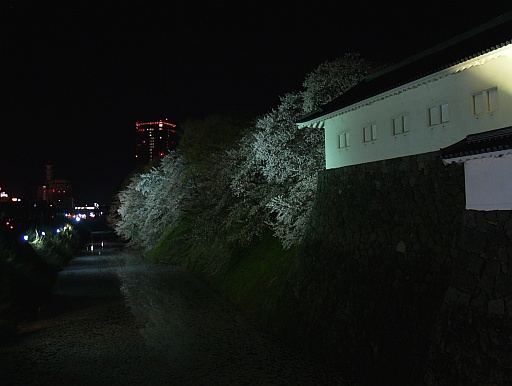 5.02山形の夜桜6