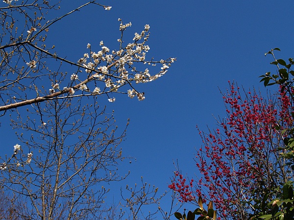 4.17山形の青空11