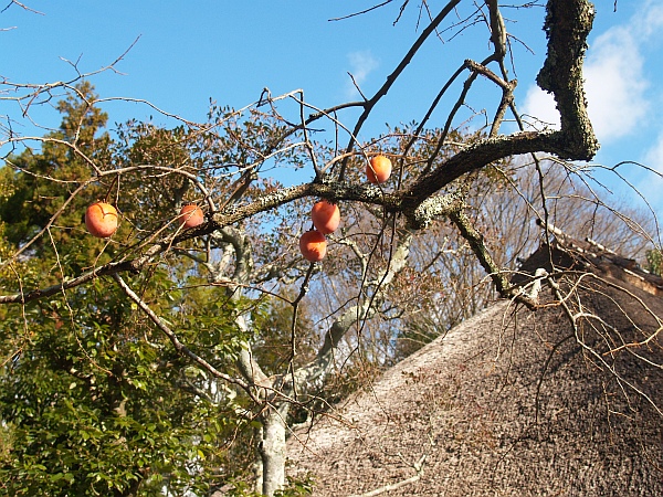 12.16京都での散策9