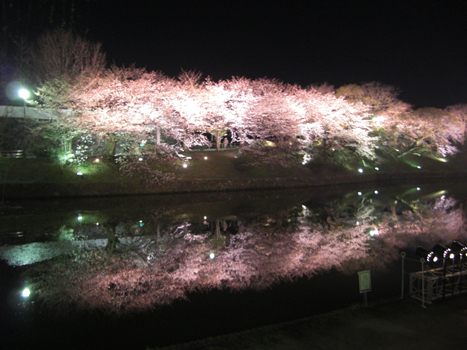 ◎CIMG0456.jpg