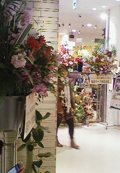 NEC_0138.JPG