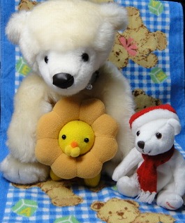 しろちゃん　その２