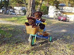 こぐまの冒険１－１