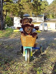 こぐまのぼうけん１－２