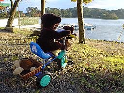 こぐまの冒険１－４