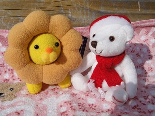 ひなたぼっこ２