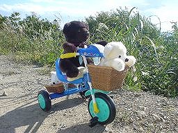 こぐまの冒険２－１