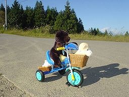 こぐまの冒険２－２