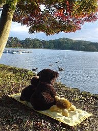 こぐまの冒険１－６