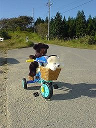 こぐまの冒険２－３