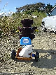 こぐまの冒険２－４