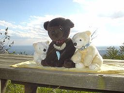 こぐまの冒険２－５