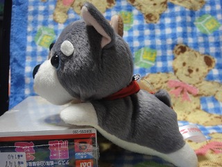 moppetsハスキー２