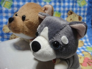 moppetsなかよし３