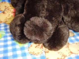 ココアちゃん　その３