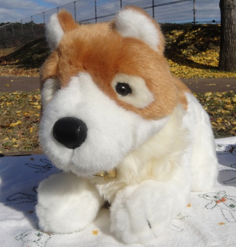 パトラッシュ２