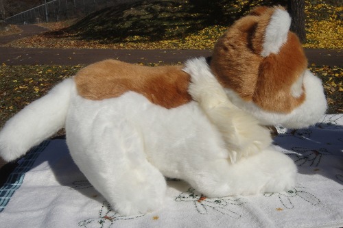 パトラッシュ４