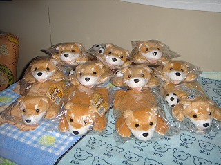 たくさんのキャロット