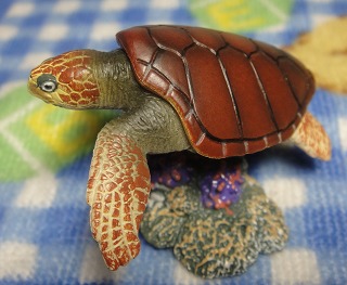 ウミガメさんフィギュア１