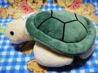 うみがめさん３